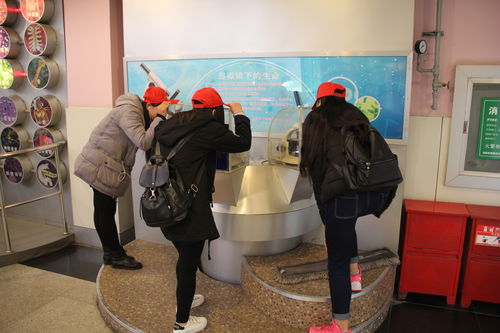 乐于探索，热爱科学 酒店管理系青年志愿者赴科技馆开展专业融合之旅